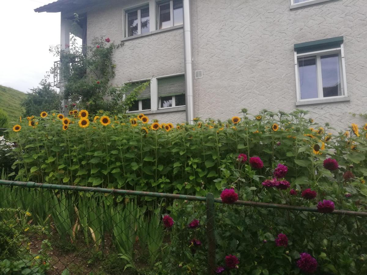 Ferienwohnung Billenberghof St. Gallen Exterior foto